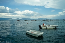 Lake Tahoe WM