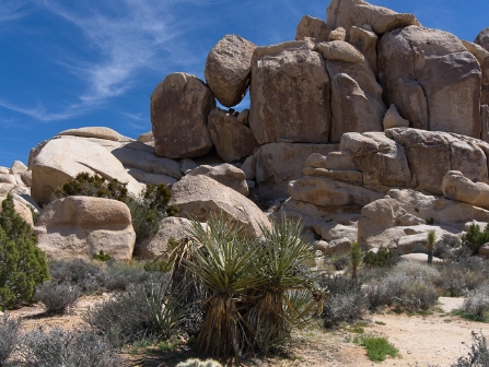 Joshua Tree National Park