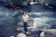 Wistle and Fish Richard WM null