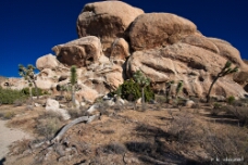 Hall of Horrors WM null