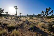 Johnny Lang Grave WM null