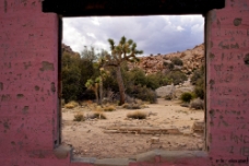 Room With A View WM null