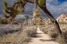 Wonderland of Rocks Trail WM null