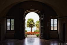 Palm Palm am Garda See