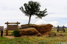 Tree Rock on Sherman Hill