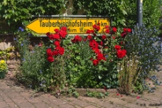 Tauberbischofsheim WM