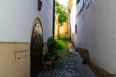 Alley WM