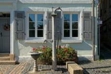 Water Pump WM