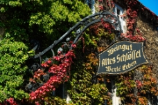 Weingut Werle Erben WM