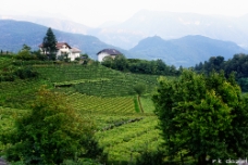 Kaltern Kaltern Landscape