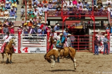 Buckin' Bronco -- Ridem Cowboy